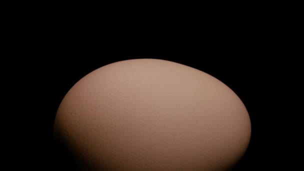 Крупним Планом Ціле Коричневе Яйце Напівпрозорості Обертається Тумбочці Чорному Фоні — стокове відео