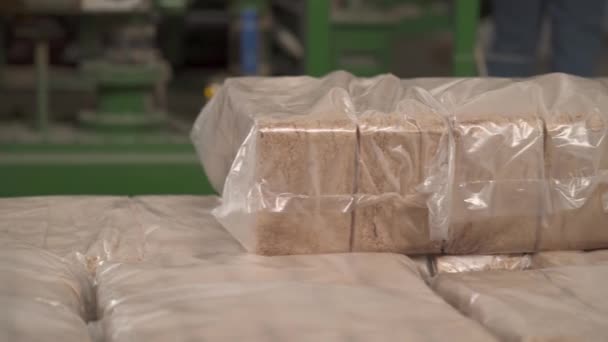 Close Packed Manufactured Compressed Sawdust Briquettes Burning Biomass Fuel — Stock Video