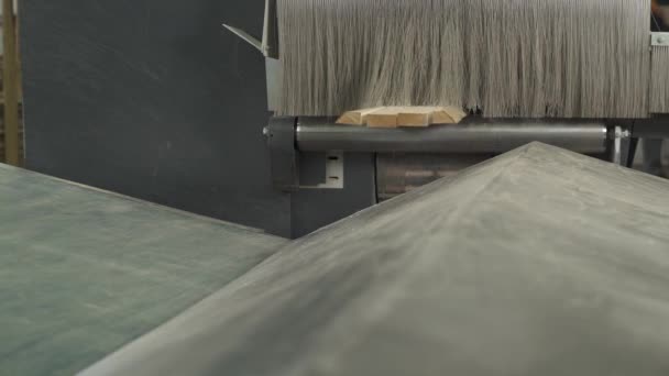 Detailní Ukázka Řezání Kusu Dřeva Automatickým Průmyslovým Krájecím Systémem — Stock video