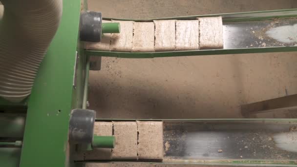 Uma Vista Superior Briquetes Madeira Fabricados Saindo Das Linhas Briquete — Vídeo de Stock