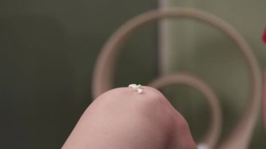 Fizyoterapistler bir tüpü kremle sıkıp hastaların dizlerine masaj hareketleriyle uyguluyorlar.