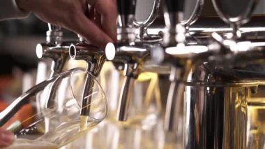 Barmen bara bira dolduruyor. Yakın çekim gösteri videosu. Bira bardağa dökülür..