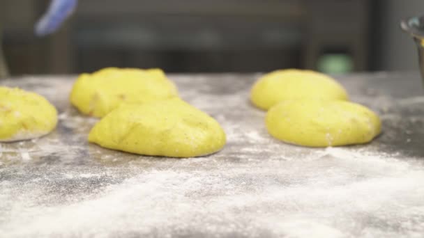 Geformte Brotlaibe Vordergrund Ein Professioneller Bäcker Pudert Das Gärblech Mit — Stockvideo