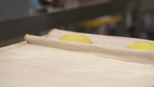 Bir Fırıncının Bez Tepsiyle Kaplı Bir Tepsiye Ekmek Yerleştirdiği Soldan — Stok video