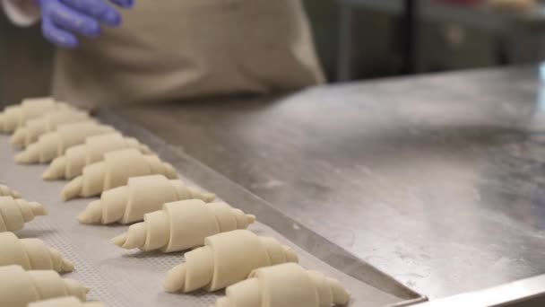 烘培者手拿着紫色手套 滚动着叠层面团 把烤好的牛角面包放在烤盘上 — 图库视频影像