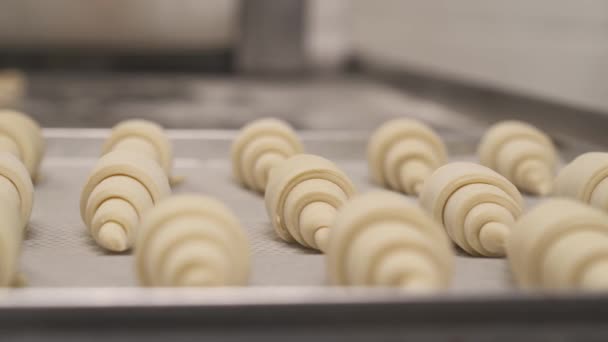 Left Right Close Shot Laminated Dough Rolled Croissants Foreground Pastry — Stock Video