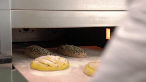 Крупный План Профессионального Пекаря Помещающего Буханки Хлеба Печь Выпечки Хлеб — стоковое видео