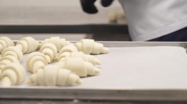 Pasta şefi pişirmeden önce çiğ kruvasanları tepsiye koyuyor. Profesyonel fırın konsepti