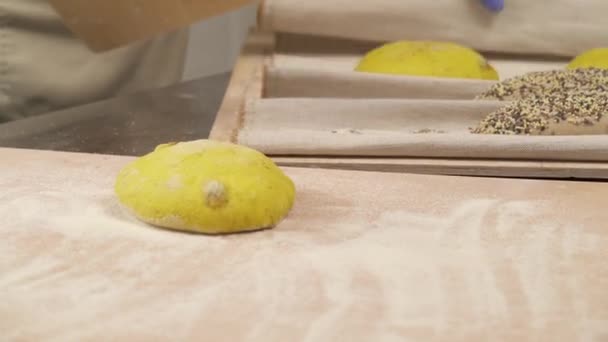 布トレイで覆われた上にパンのローフを配置する技術を実行する専門家 パンのパン屋 — ストック動画