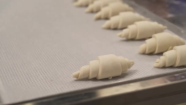 一个特写视频 是一位专家糕点厨师在烘烤之前将生羊角面包放在盘子里 烹调食物 — 图库视频影像