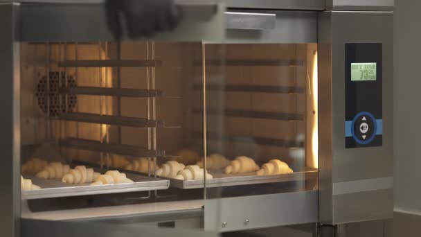 초승달 모양이다 주방장은 반죽을 교정하기 오븐에 쟁반을 넣는다 제과점 파파라치 — 비디오