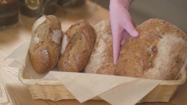 Bakers Mãos Segurando Loafs Recém Assados Ciabatta Tradicional Pão Centeio — Vídeo de Stock