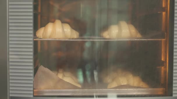 Крупный План Выпечки Круассанов Печи Промышленного Нагрева Производство Круассанов Пекарне — стоковое видео