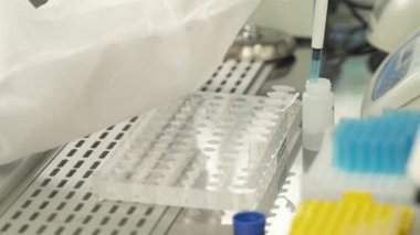 Maddenin analiz için mini test tüplerine dağılımı. Araştırma için laboratuvar asistanı maddeyi doza bağlar