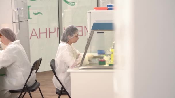 在微生物极限试验室的层流箱中进行微生物学测试的医学实验室科学家的左右镜头 — 图库视频影像