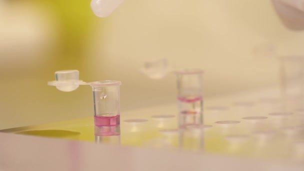 Närbild Labbforskare Som Fyller Ett Provrör Med Biologiska Prover Med — Stockvideo