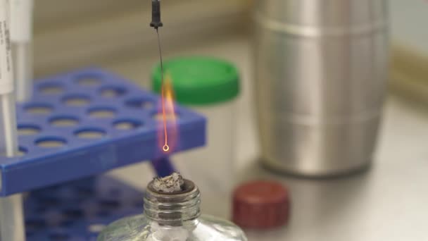 기술자들은 실험을 수행하기 루프를 가열하기 알코올 버너를 실험실에서 — 비디오