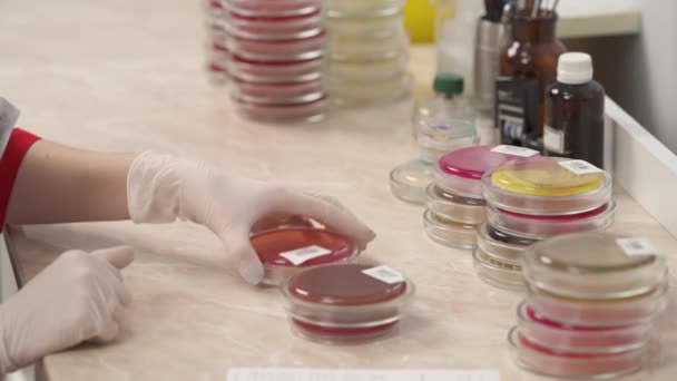 在实验室工作的科学家的特写镜头 她拿着培养皿 写下她的观察结果 医学研究概念 — 图库视频影像