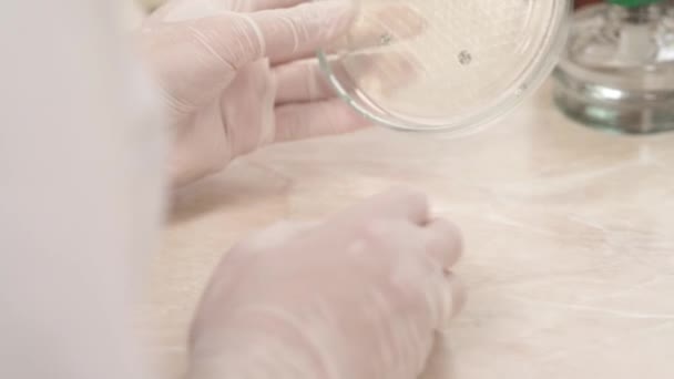 在微生物学实验室 医疗技术人员的特写手拿着乳胶手套 手里拿着培养皿 医学研究概念 检验人类生物样本 — 图库视频影像