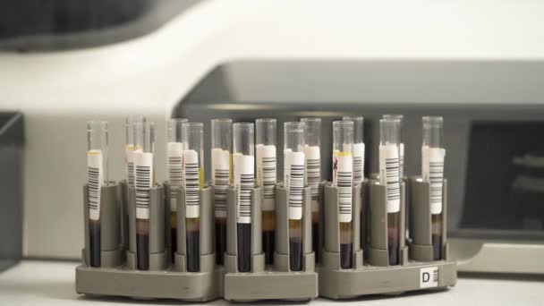 Stojak Próbki Krwi Rurkami Automatycznej Maszynie Analizy Krwi Zbliżenie Niewyraźne — Wideo stockowe