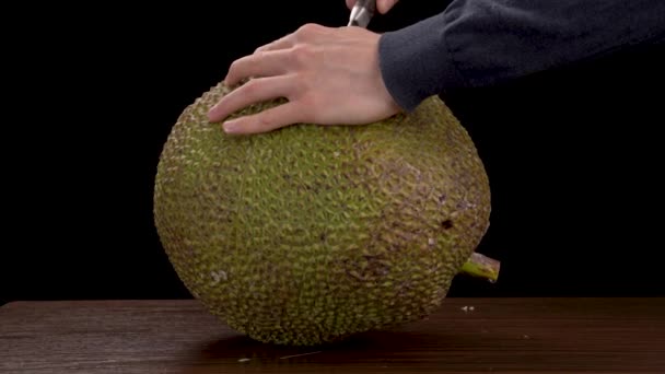 Egzotyczne Tropikalne Twarde Zielone Łuskane Jackfruit Zbliżenie Demonstracji Cięcia Krzyżowego — Wideo stockowe