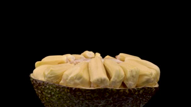 Świeżo Obrane Plasterki Jackfruit Wyizolowane Czarnym Tle Rotacja Zbliżeniowa — Wideo stockowe