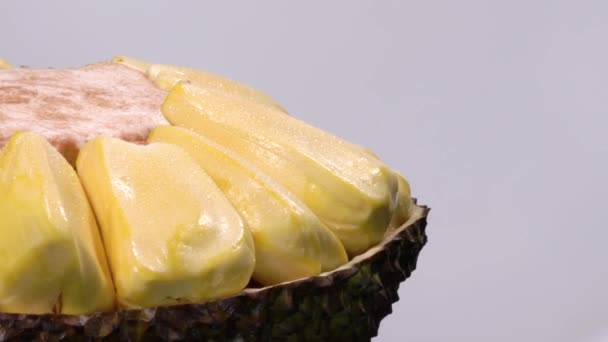 Detailní Záběr Loupaného Tropického Jackfruit Kapkami Vody Které Otáčely Točitém — Stock video
