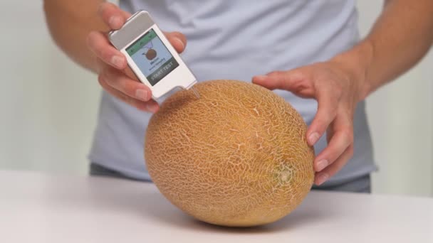 Test Der Melone Auf Nitratgrenzwert Nitrattester Konzept Für Gesunde Ernährung — Stockvideo