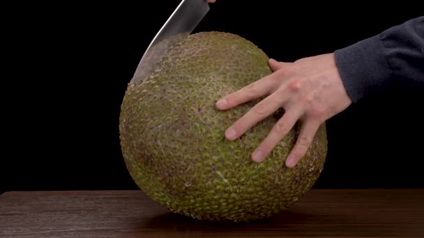 Eksotik Tropis Hijau Keras Jackfruit Dikupas Menunjukkan Tangan Laki Laki — Stok Video
