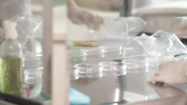 Close Cientista Laboratório Desempacotando Placas Petri Limpas Laboratório Microbiologia Pesquisa — Vídeo de Stock