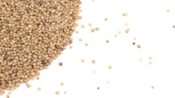 Puñado Amaranto Crudo Girando Cereales Sin Gluten Concepto Dieta Saludable — Vídeos de Stock