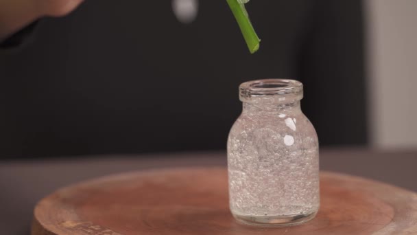 Närbild Aloe Vera Gel Droppe Glas Strid Från Blommor Löv — Stockvideo