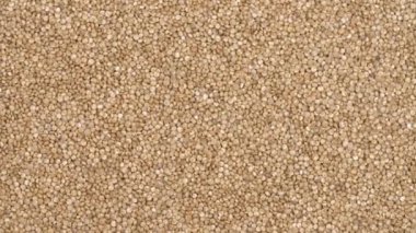 Dönen çiğ beyaz kinoa tohumları. Mısır gevreği dokusu gösterimi. Egzotik tahıllar, sağlıklı gıda konsepti.