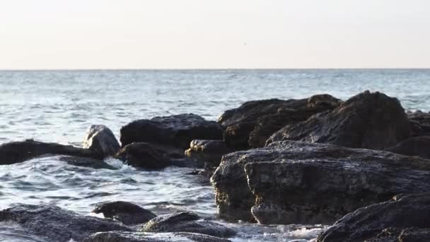 浪涌向岸边 溅到粗糙的石头上 在黑海的阳光灿烂的早晨 — 图库视频影像