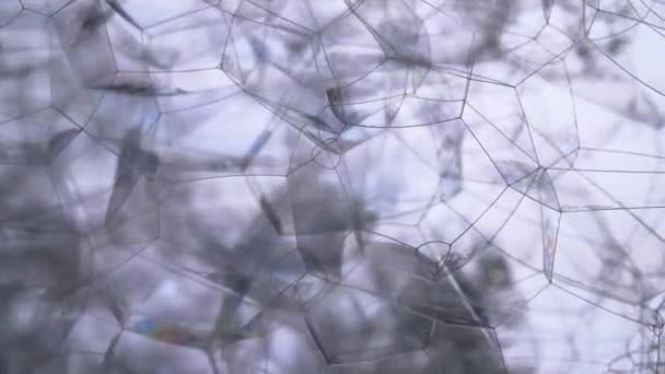 泡構造のデモンストレーション 隔離された白い背景に — ストック動画