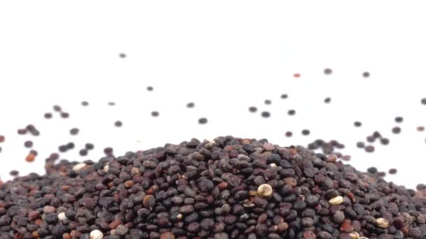 Handfull Svarta Quinoafrön Roterar Glutenfritt Matkoncept Isolerad Vit Bakgrund Selektiv — Stockvideo