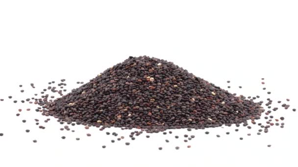 Handful Black Quinoa Seeds Rotating Healthy Food Concept Isolated White — Stock Video