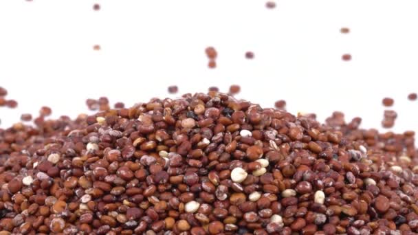 Handfull Råa Röda Quinoafrön Roterar Glutenfri Säd Isolerad Vit Bakgrund — Stockvideo