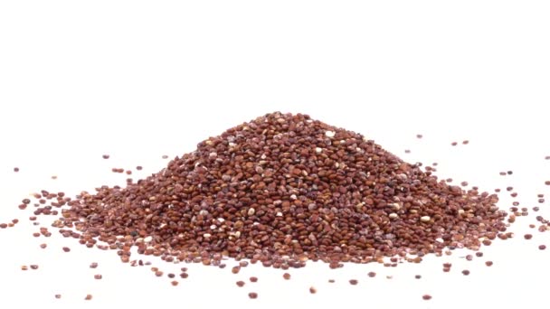 Närbild Okokt Röd Quinoa Frön Roterande Näringsrikt Matkoncept Isolerad Vit — Stockvideo