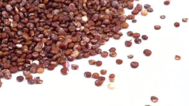 Une Poignée Graines Quinoa Rouge Tournantes Démonstration Texture Céréalière Concept — Video