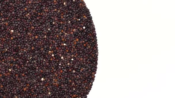 一双手的黑奎诺阿种子旋转 健康饮食的概念 孤立无援 背景为白色 复制空间拍摄 — 图库视频影像