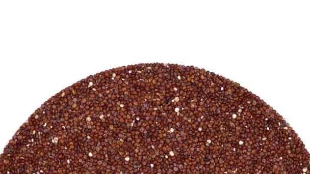 Närbild Röd Quinoa Frön Roterande Spannmål Hälsosam Kost Isolerad Vit — Stockvideo