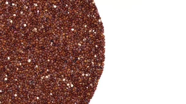 Närbild Okokt Röd Quinoa Frön Roterande Exotiska Korn Hälsosam Mat — Stockvideo