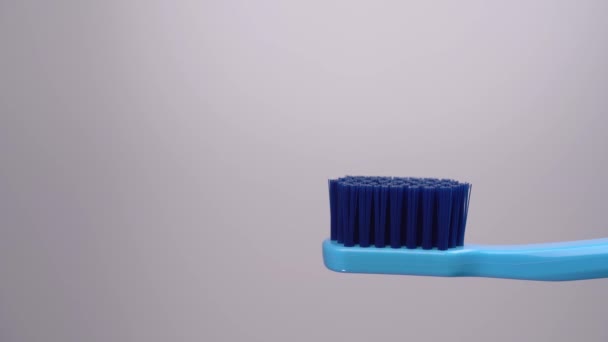 Mavi Bir Diş Fırçasına Tüpten Renkli Diş Macunu Sıkmak Makro — Stok video