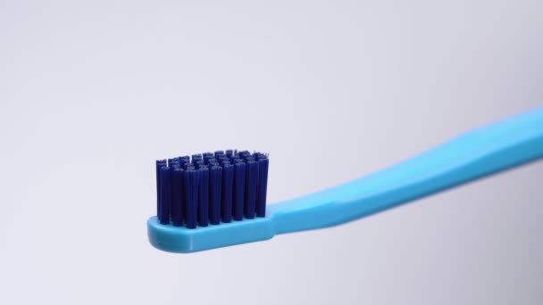 Diş Fırçasına Tüpten Renk Diş Macunu Sıkmak Beyaz Arka Planda — Stok video