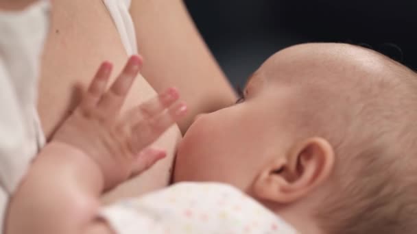 Close Newborn Baby Touching Mothers Breast While Sucking Milk Breastfeeding — Stock Video