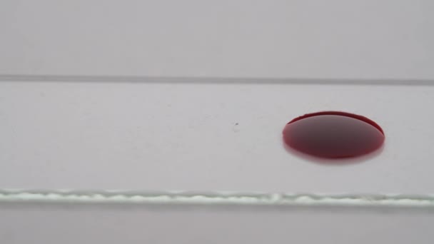 Ein Tropfen Blut Aus Einer Pipette Auf Eine Laborgleitbrille Zum — Stockvideo