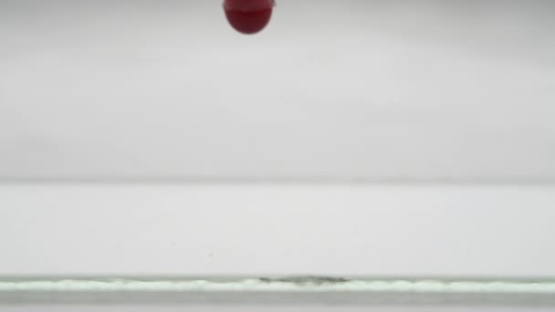 Zbliżenie Czerwonej Kropli Krwi Kapiącej Pipety Laboratoryjne Szkiełko Koncepcja Badań — Wideo stockowe