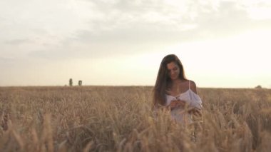 Gün batımında tarlada buğday kulağı tutan muhteşem kumral saçlı neşeli ve çekici bir kadın. Romantik atmosfer