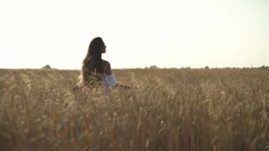 Gün batımında buğday tarlasında yürüyen genç bir kadın. Breeze muhteşem esmer dalgalı saçlarıyla oynuyor. Doğal güzellik konsepti